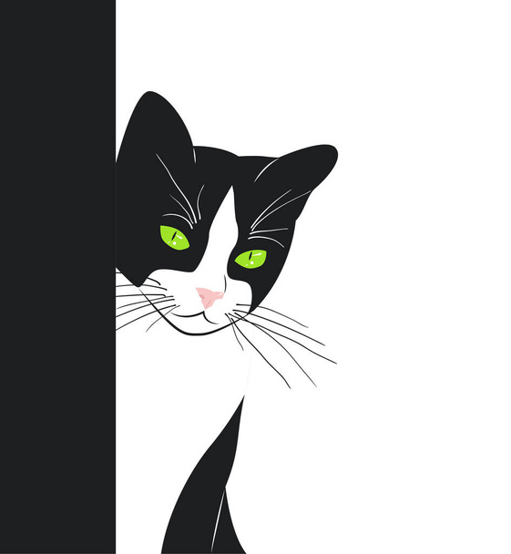Beautiful black and white cat with green eyes peeks out from behind the wall - Vector, Image