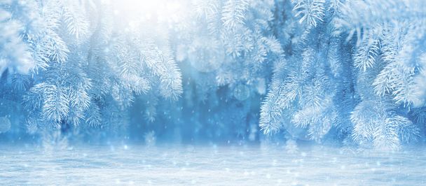 Χειμερινό φόντο του χιονισμένου δάσους. Δέντρα καλυμμένα με χιόνι το παγωμένο πρωινό. Όμορφο χειμώνα.Χειμερινό φόντο με νιφάδες χιονιού. Πανό χιονοπτώσεις για τα Χριστούγεννα και το νέο έτος σχεδιασμού. - Φωτογραφία, εικόνα