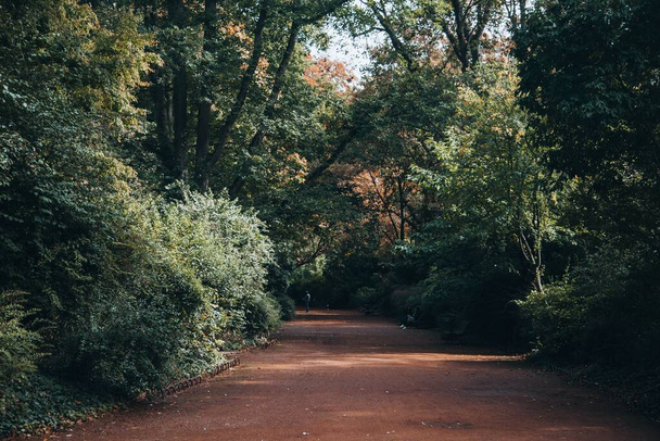 Парк Жарден Вобан в Лилле, Франция - Фото, изображение