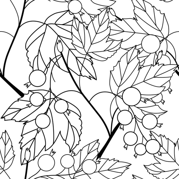 Line art blackcurrant berries with leaves isolated on a white background. Seamless vector pattern.	 - Vektori, kuva