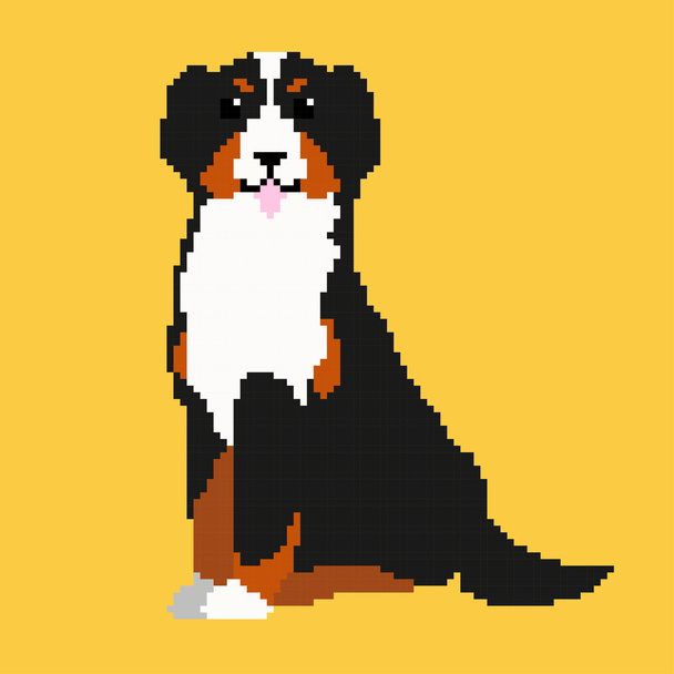 Pixel Bernese Mountain Dog  - Wektor, obraz
