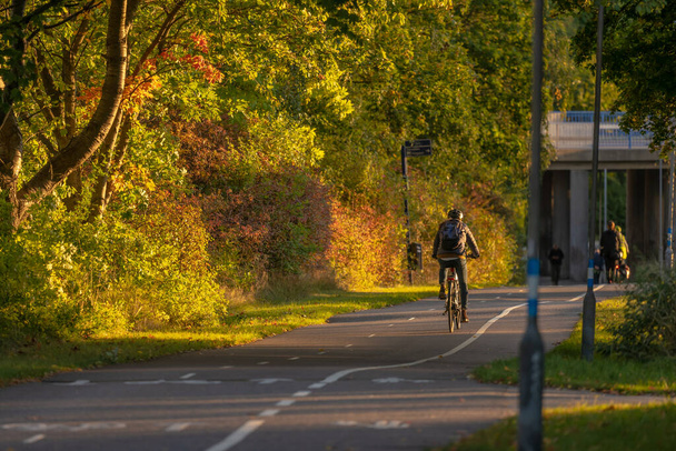 Cyklista na kole po silnici v barevném pádu. - Fotografie, Obrázek