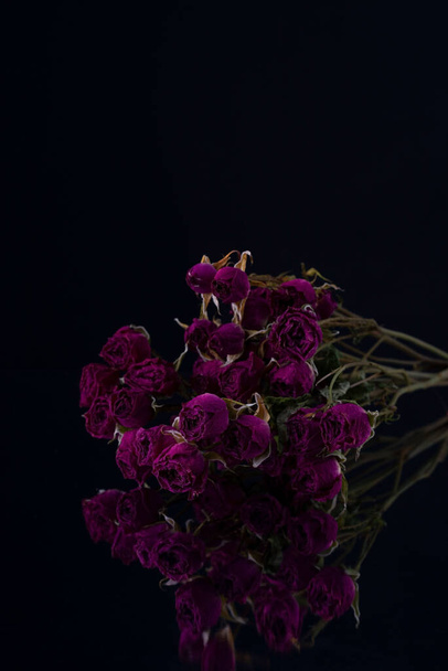 ярко-фиолетовые маленькие цветы сухие розы на черном. - Фото, изображение