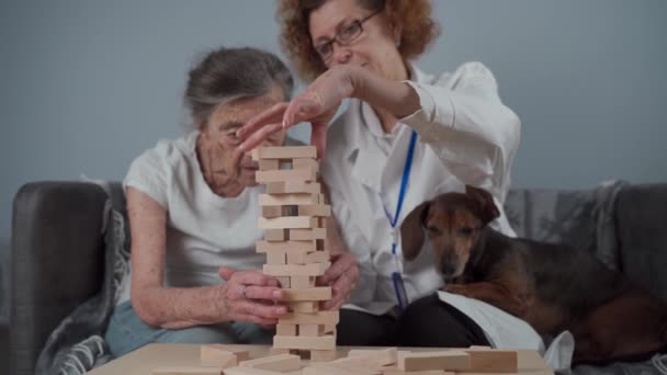 Terapia de demencia. El médico y el perro juegan un juego de mesa educativo con un paciente anciano en un asilo de ancianos. Cuidador, mascota y anciana torre de construcción de bloques en un centro de retiro. Ejercicio cerebral - Metraje, vídeo