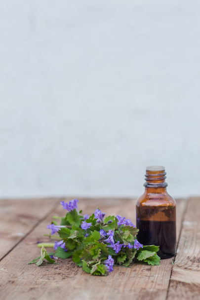 gyógyszeres palack gyógyszer Glechoma Hederacea-ból, Nepeta glechoma Benth-ből, egy csomó virágzó fa asztal mellett. Gyógynövények előkészítése. Etnociája. - Fotó, kép