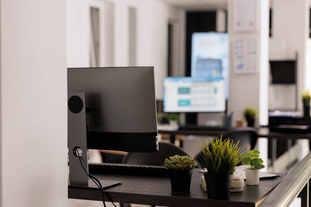 Nahaufnahme von Zimmerpflanzen als Teil der Dekoration eines modernen Coworking-Büros. Unbemannte Arbeitsplätze mit Desktop-Computern auf dem Tisch, im Arbeitsplatzkonzept. - Foto, Bild