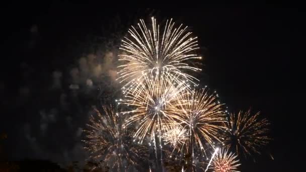 4K Παραμονή Πρωτοχρονιάς Πυροτεχνήματα Γιορτάστε το πραγματικό υπόβαθρο Πυροτεχνήματα. Golden Multicolor Abstract Glowing Glowing Bokeh Πυροτεχνήματα Show In Night Sky Concept Καλά Χριστούγεννα και Ευτυχισμένο το Νέο Έτος 2023. - Πλάνα, βίντεο