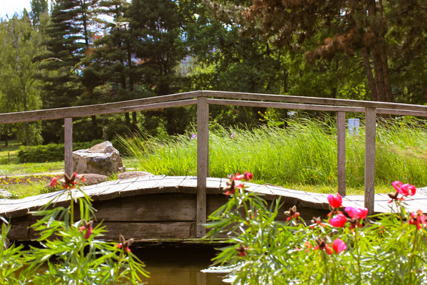 Красивый маленький деревянный декоративный мост, пешеходный мост через пруд у озера в весеннем или летнем саду в солнечный день. Живописный природный ландшафт. Розовые красные цветы, высокие зеленые травы, хвойные. - Фото, изображение