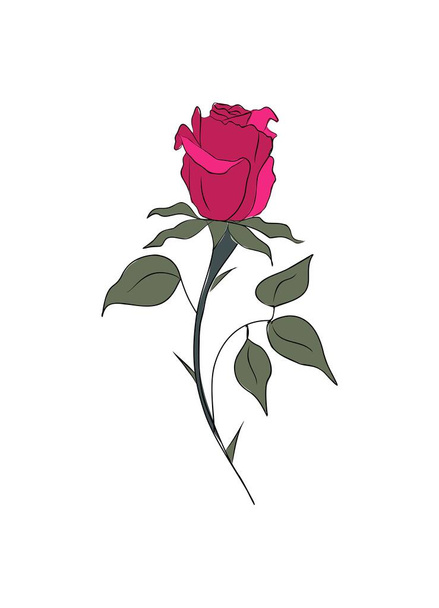 Rose - Červen měsíc narození květinové barevné vektorové ilustrace. Ručně kreslený design pro tetování, logo, karty, pozvánky. Barevný náčrt náčrtku izolované na bílém pozadí. - Vektor, obrázek