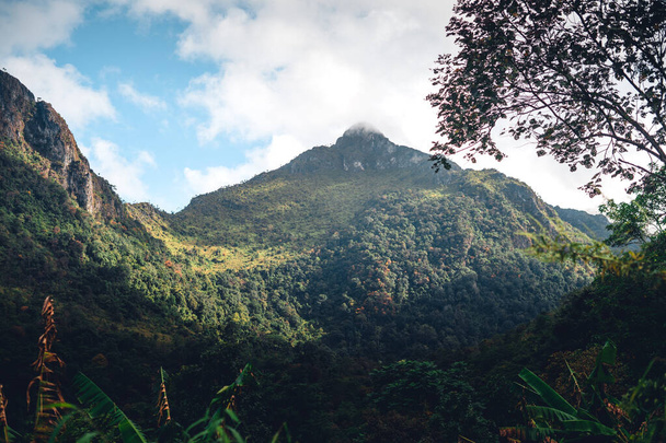 Vihreät kallioiset vuoret ja puut metsässä - Valokuva, kuva