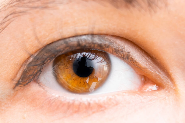 Close up womans brown eye.  - Foto, Bild