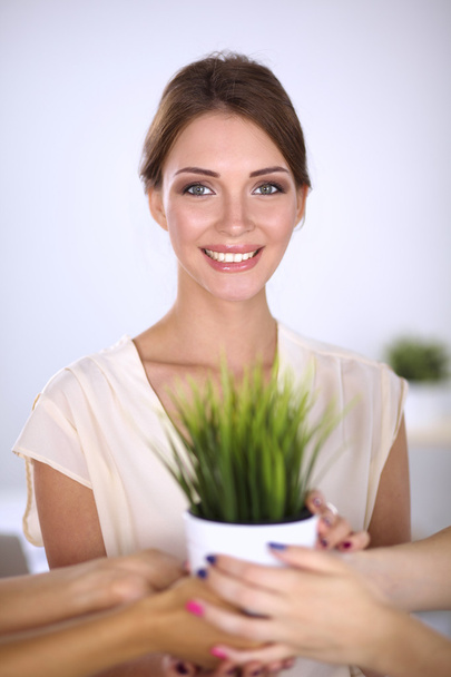 Beautiful woman holding pot with a plant, standing at home - 写真・画像