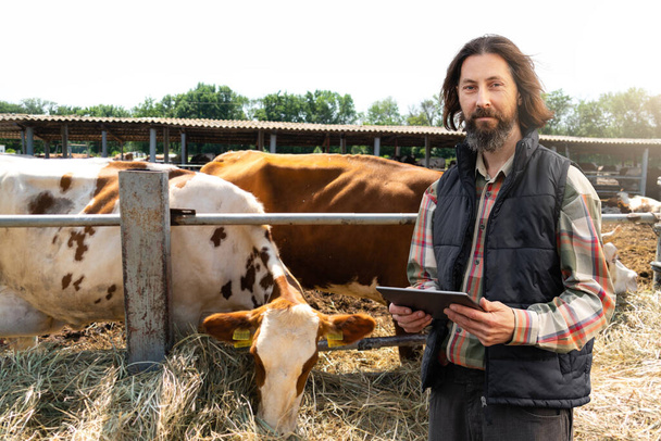 Farmer with a digital tablet in a cow farm. Herd management concept  - Fotoğraf, Görsel