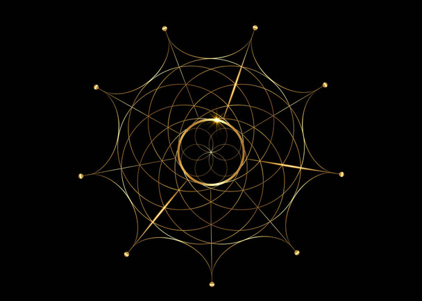 Gold Sacred Geometry, Seed of life symbol. Logo icon Geometric mystic mandala of alchemy esoteric Flower of Life. Vector golden line art tattoo divine meditative amulet isolated on black background - Vector, Image