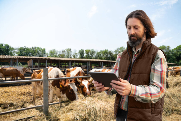 Farmer with a digital tablet in a cow farm. Herd management concept  - Фото, зображення