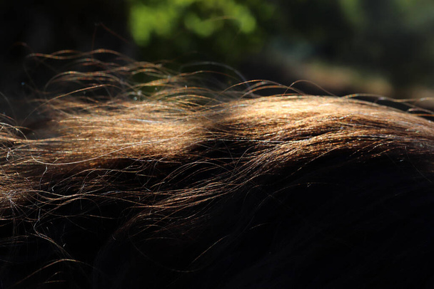 Haarsträhnen, die im Sonnenlicht glänzen - Foto, Bild