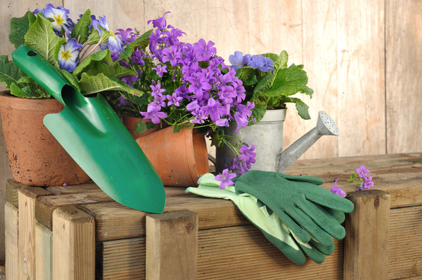 fleurs et outils de jardinage
 - Photo, image