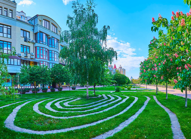 The park on Obolonska Embankment with birch trees, blooming red horse-chestnuts and the labyrinth on the lawn, Kyiv, Ukraine - Foto, imagen