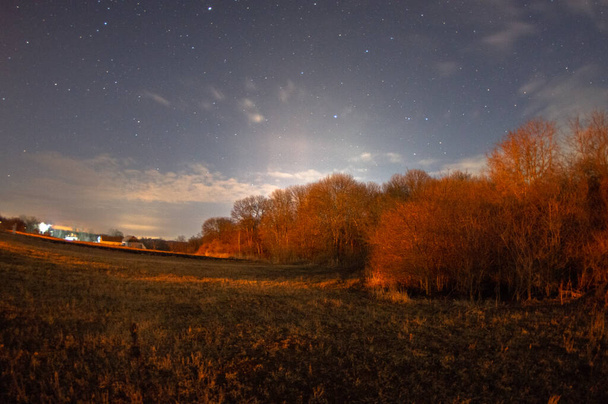 bela paisagem noturna com um monte de estrelas e uma pequena árvore - Foto, Imagem