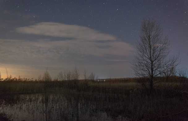 όμορφο νυχτερινό ουρανό με δέντρα και χιόνι - Φωτογραφία, εικόνα