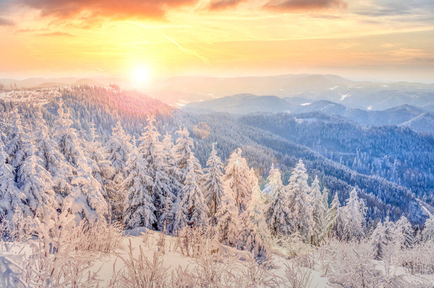 Zimowy krajobraz Czarny Las, Niemcy  - Zdjęcie, obraz