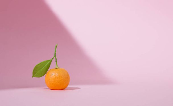 Fruto kumquat iluminado por el sol con hoja verde sobre fondo rosa pastel. Una idea mínima de cítricos. Copiar espacio. - Foto, imagen
