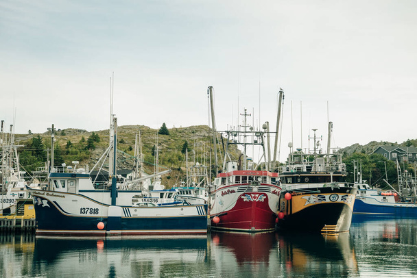 Newfoundland, Canada - August 2022: Multiple colorful fishing boats in a small sheltered harbour in Port de Grave. High quality photo - Photo, Image