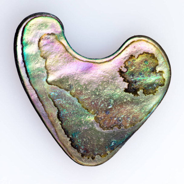 Herzförmiges Stück Perlmutt von Paua, Perlemoen oder Abalone am Strand des Pazifischen Ozeans gefunden - Foto, Bild