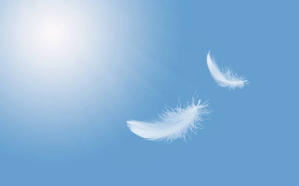 Abstract Zachtheid van witte vogelveer drijvend in de blauwe lucht. Veren vliegen in de hemel - Foto, afbeelding