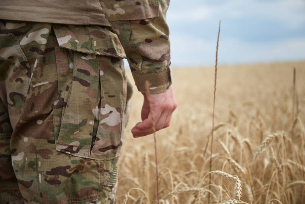 Ukrainian military man in wheat field. Ukrainian wheat fields and war upcoming food crisis. Armed Forces of Ukraine - Фото, зображення