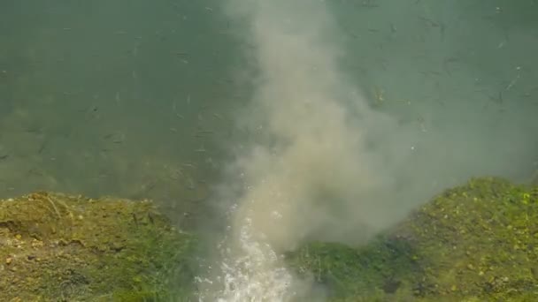 Environmental pollution from wastewater. Discharge of untreated water into a natural lake: untreated dirty water flows from a pipe near a group of small fish. - Footage, Video
