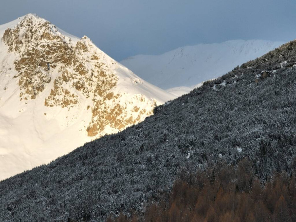 Kışın Livigno 'da. İtalya 'nın Lombardiya şehrinde İsviçre sınırına yakın İtalyan Alplerinde yer alan ligno arazileri. - Fotoğraf, Görsel