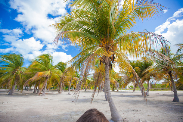Palmeraie sur une plage tropicale de sable blanc dans un pays exotique
 - Photo, image