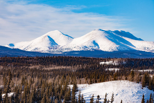 Zimowy górski krajobraz borealnej leśnej pustyni tajgi terytorium Jukonu, Kanada, na północ od Whitehorse - Zdjęcie, obraz
