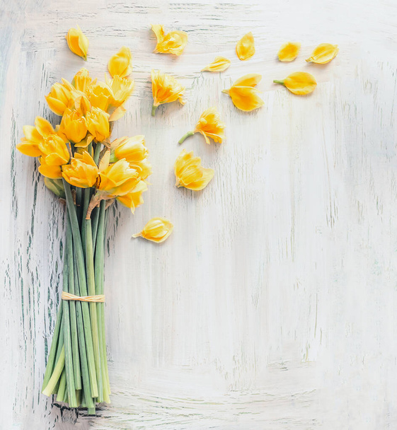 Daffodils flowers bunch with yellow petals. Spring background. - Fotoğraf, Görsel