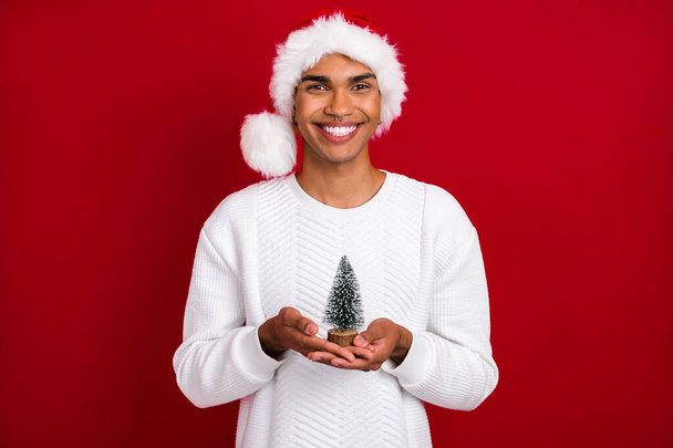Portrait of positive handsome person beaming smile arms hold tiny evergreen tree isolated on red color background. - Foto, Imagen