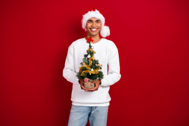 Photo of positive nice person hands hold small decorated newyear evergreen tree isolated on red color background. - Fotografie, Obrázek