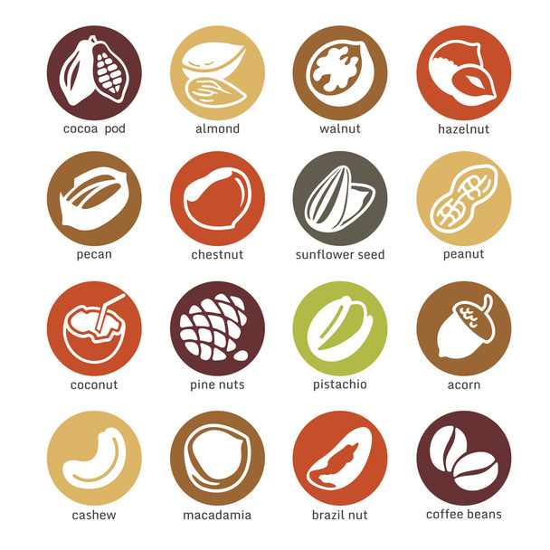 Набор иконок - орехи, бобы и семена
 - Вектор,изображение