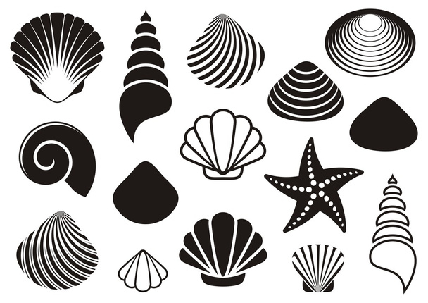 Conchas marinhas e estrelas do mar - Vetor, Imagem