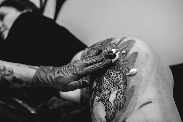 Joven artista del tatuaje manos con guantes limpiando un tatuaje de un tigre grande, en el muslo y las caderas de una mujer hermosa (en blanco y negro) - Foto, Imagen