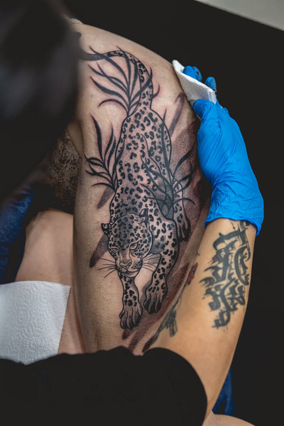 Joven artista del tatuaje manos con guantes azules limpieza de un tatuaje de un tigre grande, en el muslo y las caderas de una hermosa mujer - Foto, Imagen