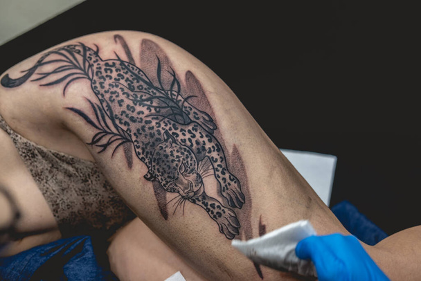 Fiatal tetováló művész kezét kék kesztyű tisztító tetoválás egy nagy tigris, a comb és a csípő egy gyönyörű nő - Fotó, kép