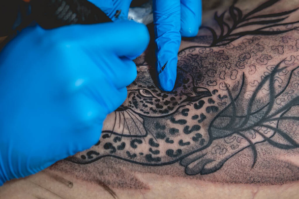 Joven artista del tatuaje manos con guantes azules haciendo un tatuaje, con máquina de tatuaje, de un tigre grande, en el muslo y las caderas de una mujer hermosa - Foto, imagen
