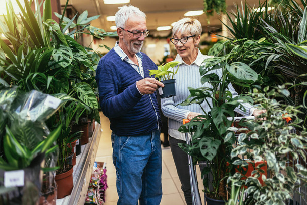 Senior couple are choosing potted plant at garden center. - Фото, изображение