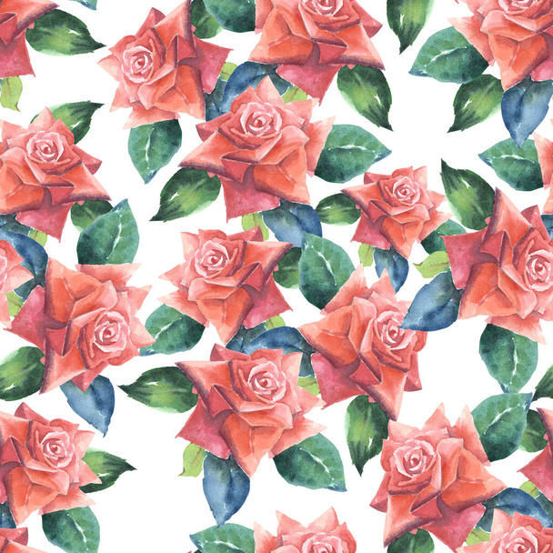 Garden roses with leaves painting in watercolor. Seamless pattern with bouquet roses on white background for decor. - Zdjęcie, obraz
