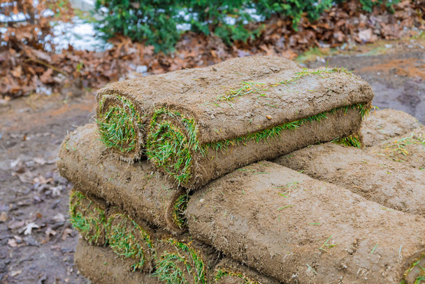 En el sitio de construcción descargar rollos de césped de hierba verde en paletas para fines de jardinería. - Foto, imagen