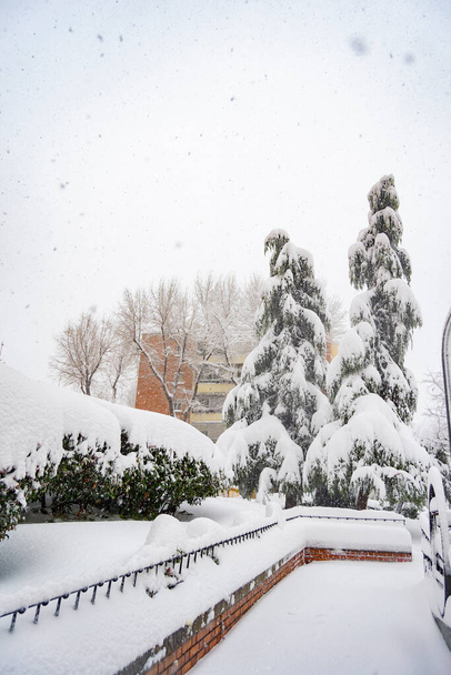 Śnieg. Zimą. Ulice pokryte białym kocem śniegu, który pokrywa wszystkie elementy, które są na ulicy. Zimna koncepcja. Zimowy pomysł. Zima 2022. Fotografia. - Zdjęcie, obraz