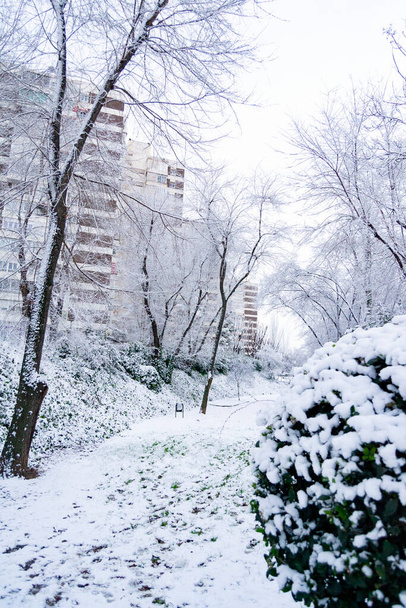雪だ。冬だ。通りにあるすべての要素をカバーする雪の白い毛布で覆われた通り。冷たい概念。冬のコンセプト。2022年冬。写真. - 写真・画像