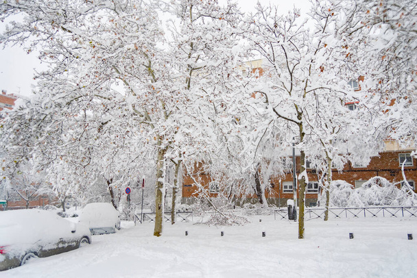 雪だ。冬だ。通りにあるすべての要素をカバーする雪の白い毛布で覆われた通り。冷たい概念。冬のコンセプト。2022年冬。写真. - 写真・画像