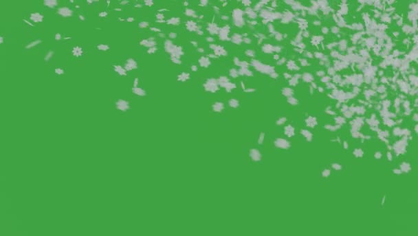 Sobreposição de neve no fundo verde. Inverno lentamente queda neve efeito Chroma chave. Animação 4K - Filmagem, Vídeo